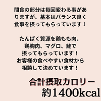 画像274